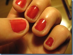 IMG_1445 IMG_1445