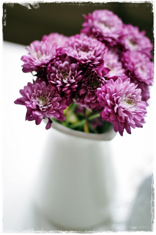 Nydelige blomster1 Nydelige blomster1