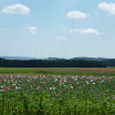 Austria Biker031.jpg
