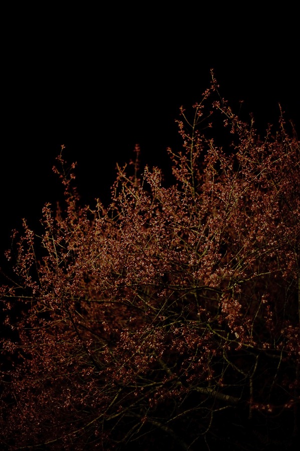 [DSC_9657%255B2%255D.jpg]