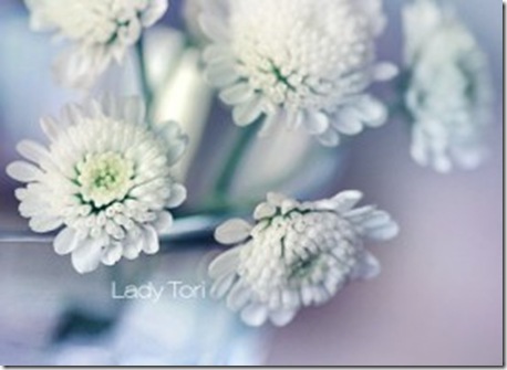 blomster1