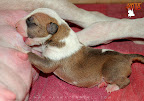 Boy 3 - 2 days