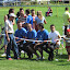 Kamenná Poruba 2008