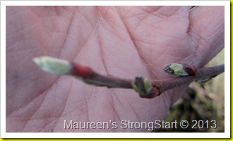 march 20 065 march 20 065