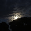 dsc00662.jpg
