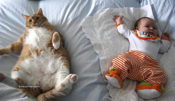 So Sweet Photos : You will smile for sure