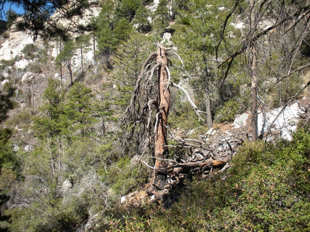 [DSCN2271%255B3%255D.jpg]