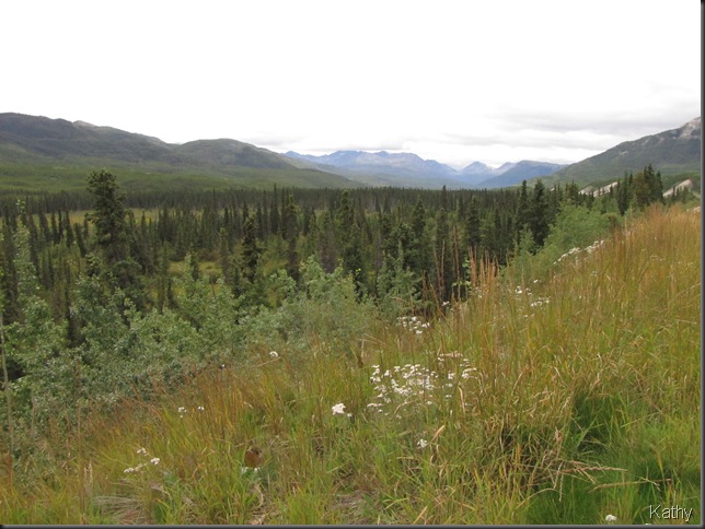 Scenery along the highway