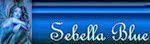 signature (1) signature (1)