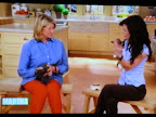 All Paws on Set!