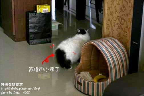 我太衰了啦.... 受到無妄之災..>< 不過想起黑熊打那個雞的樣子真是很好笑啊XDDD 版主回覆:(03/29/2009 03:17:24 PM) 真的.... 黑熊正好有氣沒地方發啊!!! XDDD 黑熊真的發狠!! 可見,他非常討厭那隻雞吶!!!! 但是模樣太可愛..難怪老師要拿雞弄他!! XDDD