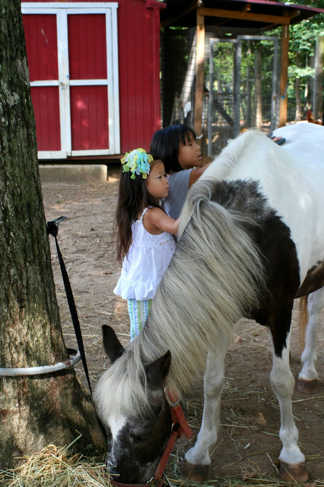 [IMG_9134e%255B2%255D.jpg]