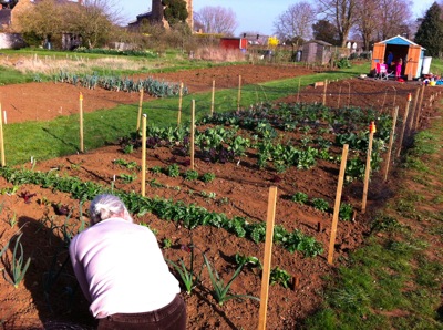 Allotment Wardinton UK