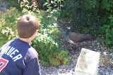 2011-08-28 14.28.11.jpg
