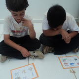 fotos diversas 874.jpg