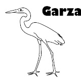 egret.jpg