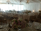 A snapshot of the tent before the ceremony. The afternoon light was so pretty.