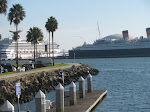 IMG_8377.JPG