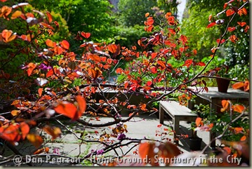 IMG_3063_fullscreen
