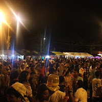  Carnaval_Cantanhede_Bloco_Cana_Limao_2012