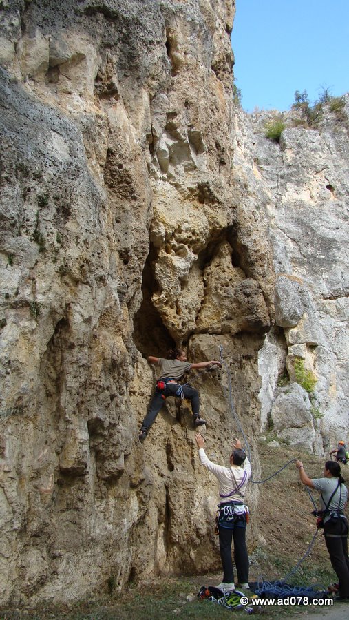 145.jpg
