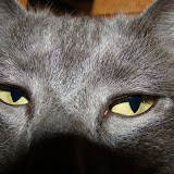 web-DSC01231.JPG