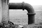 down the drain down the drain