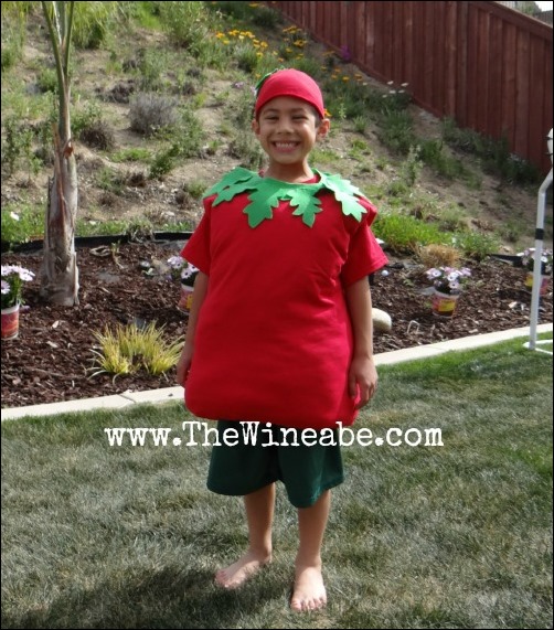 tomato costume easy DIY