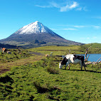 Montanha do Pico