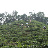 10-20-2007 坪林、基隆