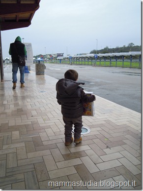 DSCN1094 DSCN1094