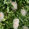 IMG_8157.jpg