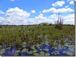 mabamba swamp