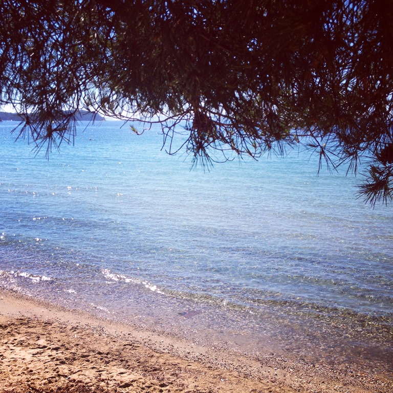 [IMG_1225%255B4%255D.jpg]