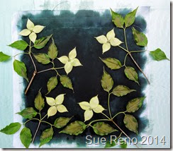 Kousa Dogwood, a work in progress by Sue Reno, Image 6