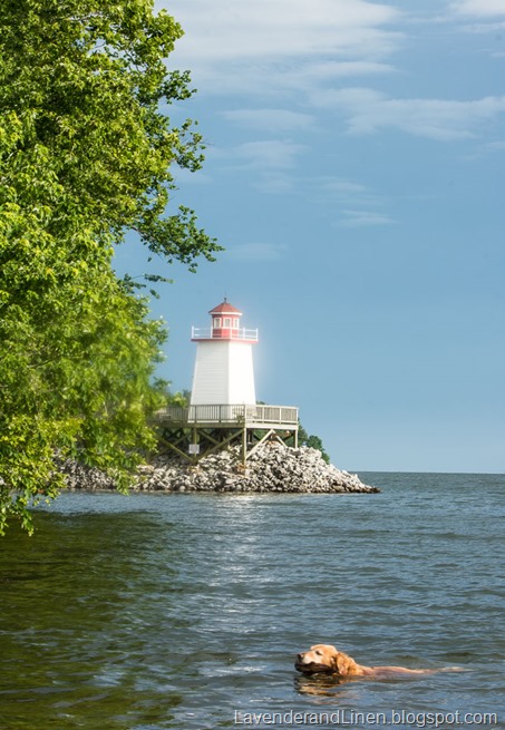 Lighthouse untitled-4191