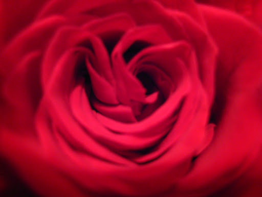 A Cinco De Mayo tribute to Mothers Day 2012