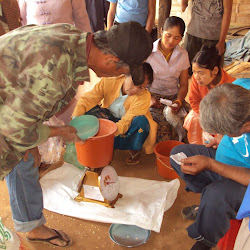 Yellow Bean Distribution at the Shan Camp - February 2012