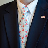 Tarp Ties - Tarp%252520Ties%252520001.jpg