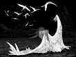 Angel Wings Become Birds