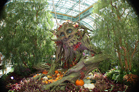 IMG_7950.JPG