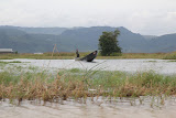 se-asia-198.jpg