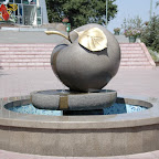 20061001-DSC_0317.jpg