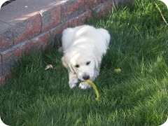 Jackson first day home5