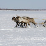 0_62557_ac8d5b83_XL.jpg