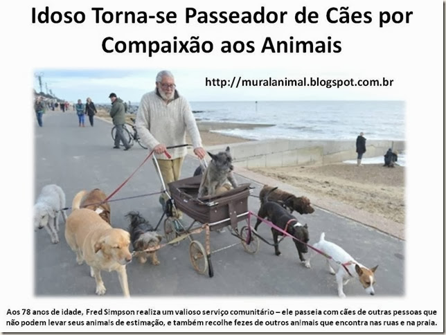 Idoso Torna-se Passeador de Cães por Compaixão aos