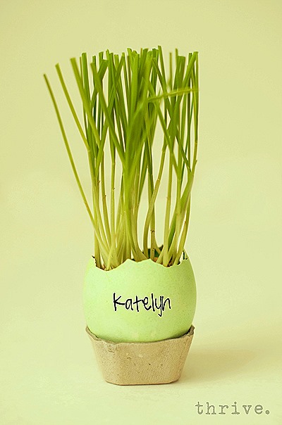 Easter Egg Wheat Grass Centerpiece from THRIVE.4