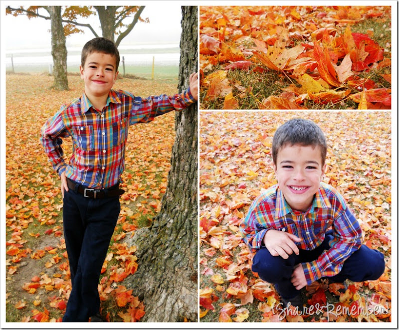 brett fall pictures