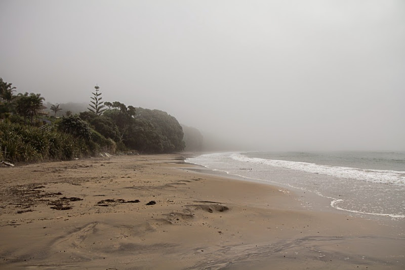 CoopersBeach CoopersBeach