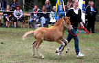 Simone f 2010 e Nordman u Nystan e Kanel